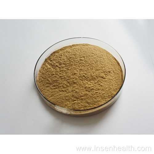 Hot Selling Natural Seaweed Extract Powder